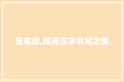 足笔顺,探寻汉字书写之美