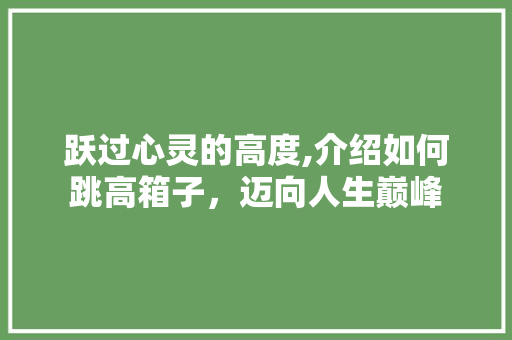 跃过心灵的高度,介绍如何跳高箱子，迈向人生巅峰 操作系统