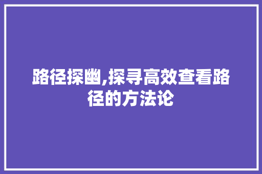 路径探幽,探寻高效查看路径的方法论