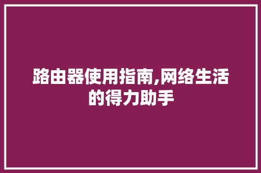 路由器使用指南,网络生活的得力助手