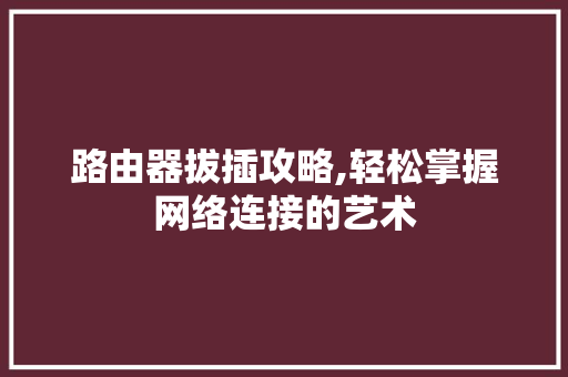 路由器拔插攻略,轻松掌握网络连接的艺术