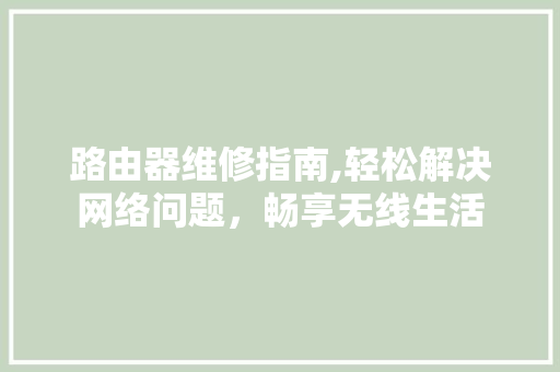 路由器维修指南,轻松解决网络问题，畅享无线生活