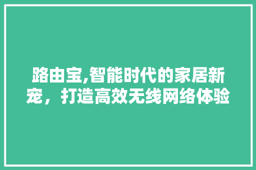 路由宝,智能时代的家居新宠，打造高效无线网络体验
