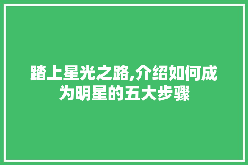 踏上星光之路,介绍如何成为明星的五大步骤