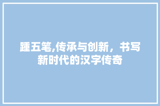 踵五笔,传承与创新，书写新时代的汉字传奇