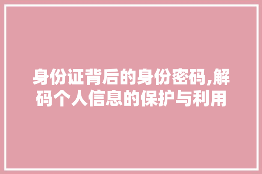身份证背后的身份密码,解码个人信息的保护与利用