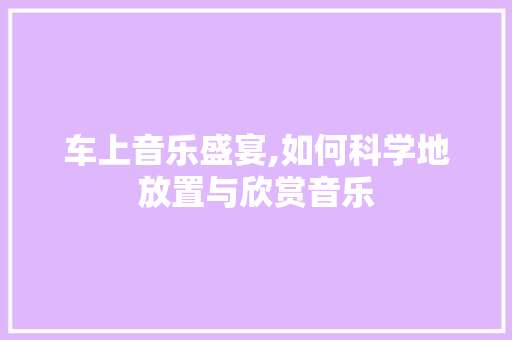 车上音乐盛宴,如何科学地放置与欣赏音乐