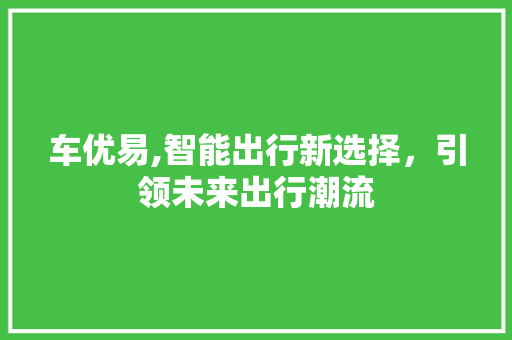 车优易,智能出行新选择，引领未来出行潮流