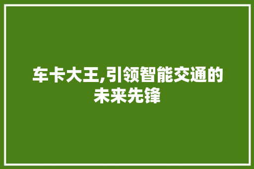 车卡大王,引领智能交通的未来先锋