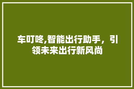 车叮咚,智能出行助手，引领未来出行新风尚