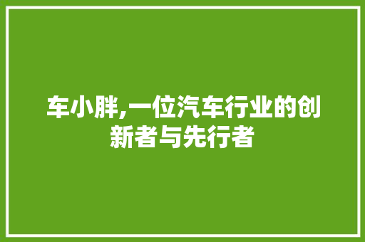 车小胖,一位汽车行业的创新者与先行者 电脑配置