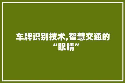 车牌识别技术,智慧交通的“眼睛” 操作系统