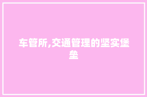 车管所,交通管理的坚实堡垒