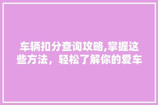 车辆扣分查询攻略,掌握这些方法，轻松了解你的爱车“健康”状况