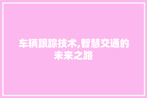 车辆跟踪技术,智慧交通的未来之路
