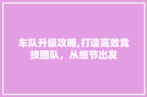 车队升级攻略,打造高效竞技团队，从细节出发