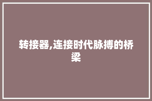 转接器,连接时代脉搏的桥梁