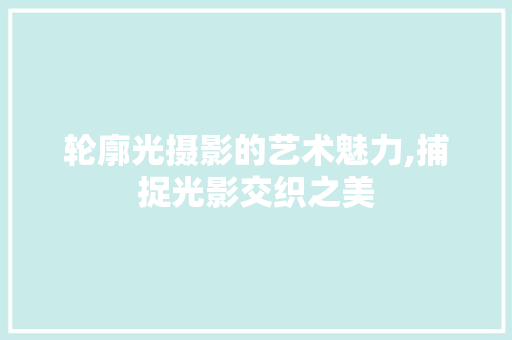 轮廓光摄影的艺术魅力,捕捉光影交织之美 电脑配置