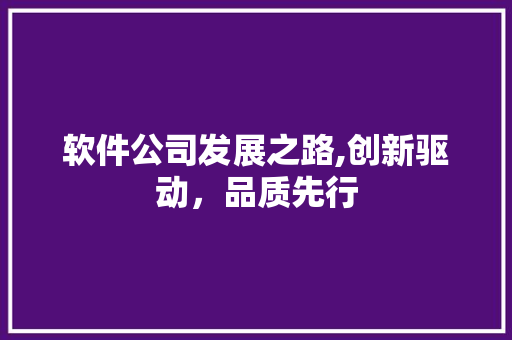 软件公司发展之路,创新驱动，品质先行 电脑基础