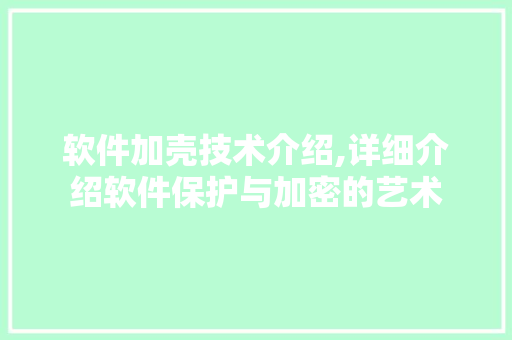 软件加壳技术介绍,详细介绍软件保护与加密的艺术