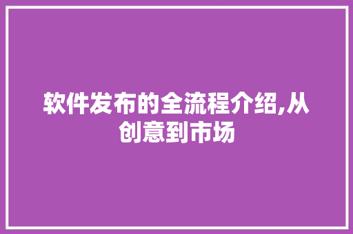 软件发布的全流程介绍,从创意到市场