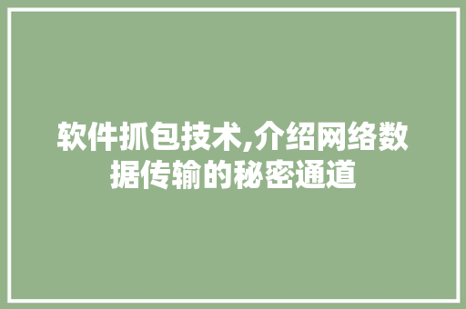 软件抓包技术,介绍网络数据传输的秘密通道 电脑基础