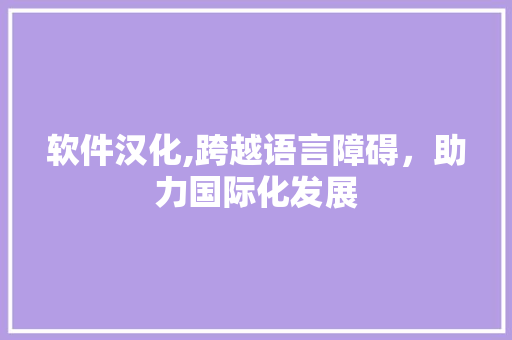 软件汉化,跨越语言障碍，助力国际化发展 电脑配置