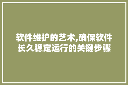 软件维护的艺术,确保软件长久稳定运行的关键步骤 编程语言 软件维护的艺术,确保软件长久稳定运行的关键步骤 编程语言