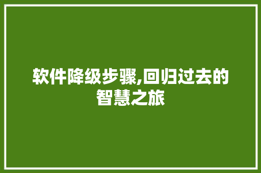 软件降级步骤,回归过去的智慧之旅 网络技术