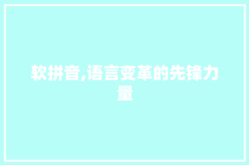 软拼音,语言变革的先锋力量