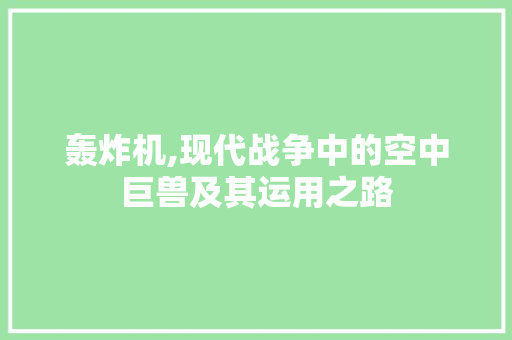 轰炸机,现代战争中的空中巨兽及其运用之路