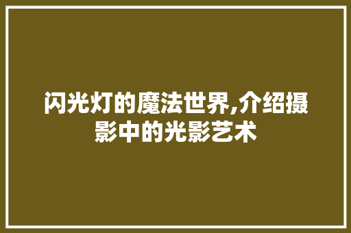 闪光灯的魔法世界,介绍摄影中的光影艺术