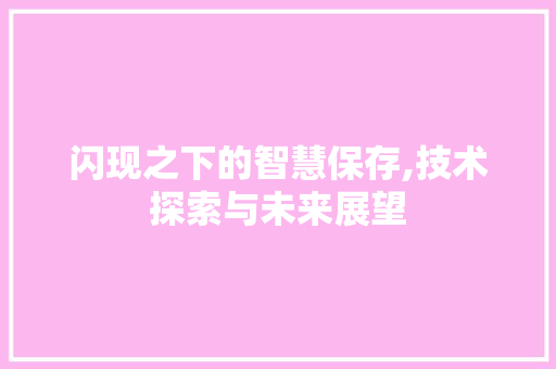 闪现之下的智慧保存,技术探索与未来展望