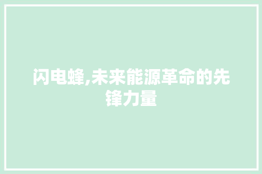 闪电蜂,未来能源革命的先锋力量 编程语言