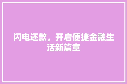 闪电还款，开启便捷金融生活新篇章 操作系统