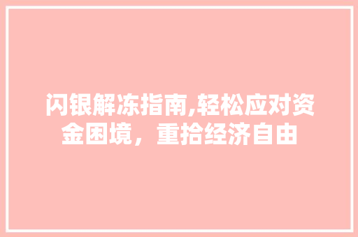 闪银解冻指南,轻松应对资金困境，重拾经济自由 编程语言