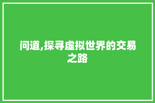 问道,探寻虚拟世界的交易之路 问道,探寻虚拟世界的交易之路