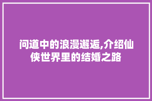 问道中的浪漫邂逅,介绍仙侠世界里的结婚之路 问道中的浪漫邂逅,介绍仙侠世界里的结婚之路