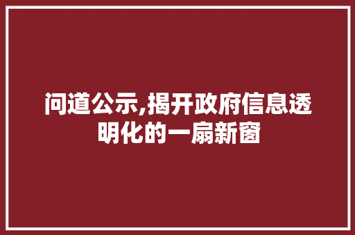 问道公示,揭开政府信息透明化的一扇新窗 问道公示,揭开政府信息透明化的一扇新窗