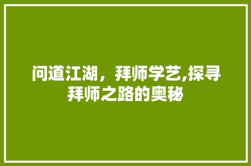 问道江湖，拜师学艺,探寻拜师之路的奥秘