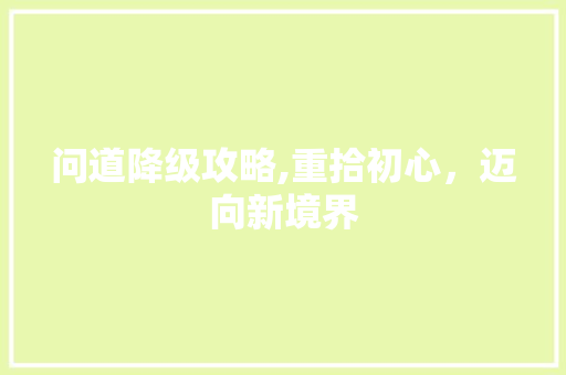问道降级攻略,重拾初心，迈向新境界