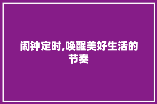 闹钟定时,唤醒美好生活的节奏