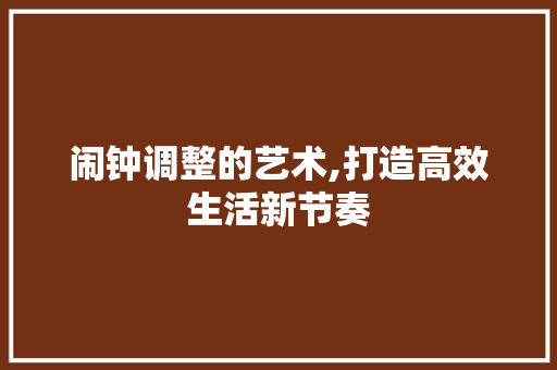 闹钟调整的艺术,打造高效生活新节奏