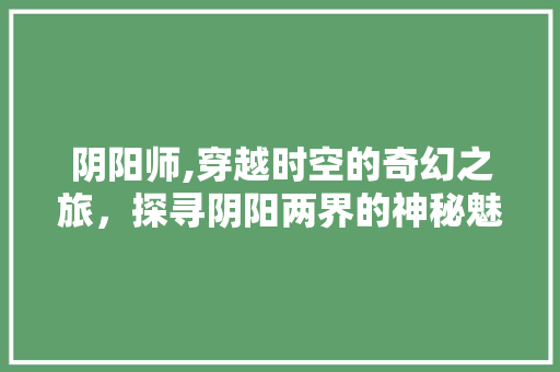 阴阳师,穿越时空的奇幻之旅，探寻阴阳两界的神秘魅力