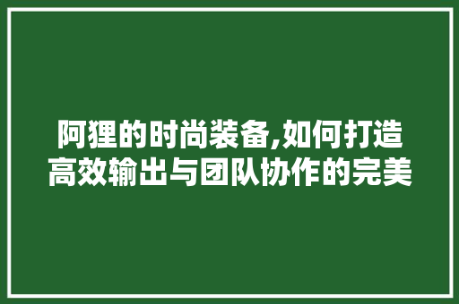阿狸的时尚装备,如何打造高效输出与团队协作的完美搭档
