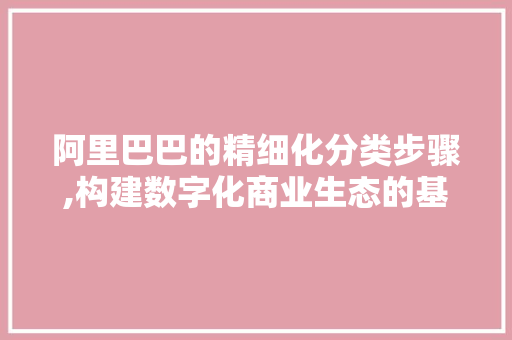 阿里巴巴的精细化分类步骤,构建数字化商业生态的基石