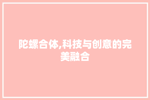 陀螺合体,科技与创意的完美融合