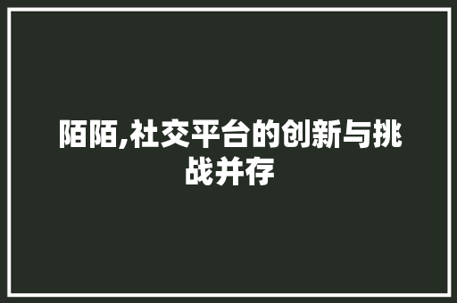 陌陌,社交平台的创新与挑战并存