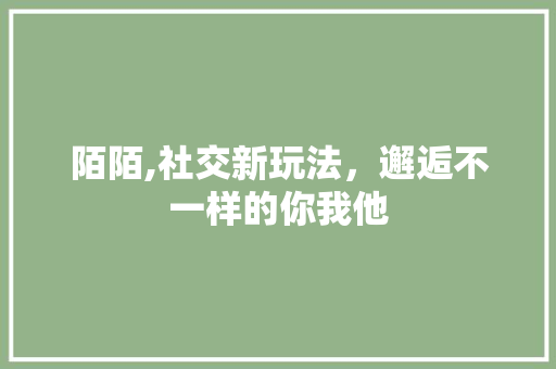 陌陌,社交新玩法，邂逅不一样的你我他