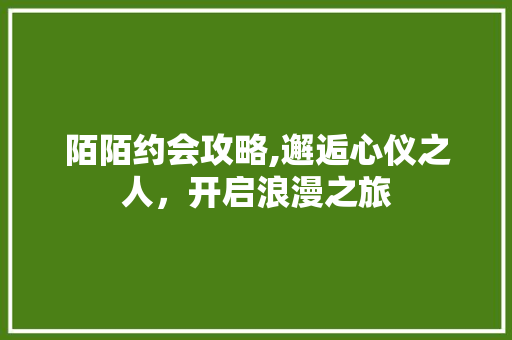 陌陌约会攻略,邂逅心仪之人，开启浪漫之旅